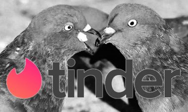 tinder duiven