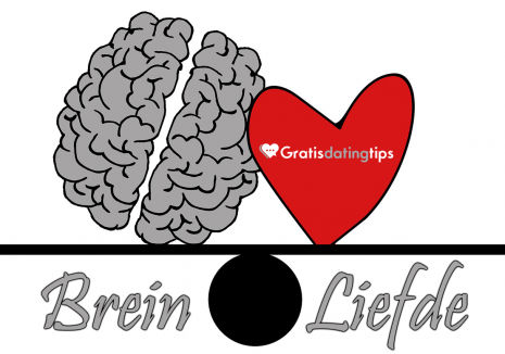 brein liefde