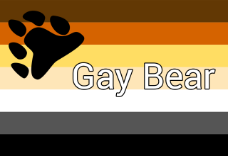 gay bear