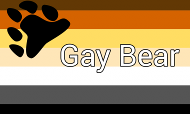 gay bear