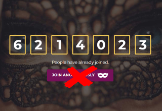 het starten van uw eigen dating site Speed Dating Business plan monster