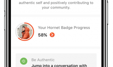 hornet badge