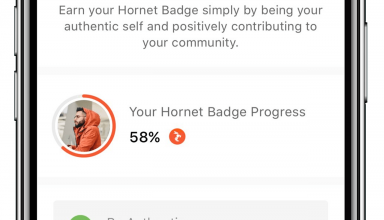 hornet badge
