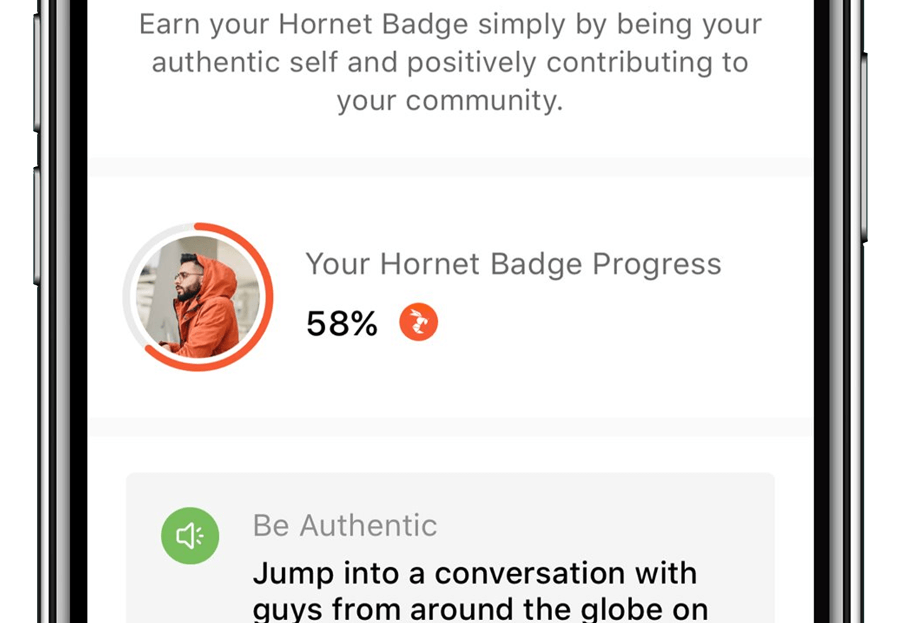 hornet badge