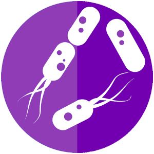 bacterie