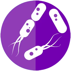 bacterie