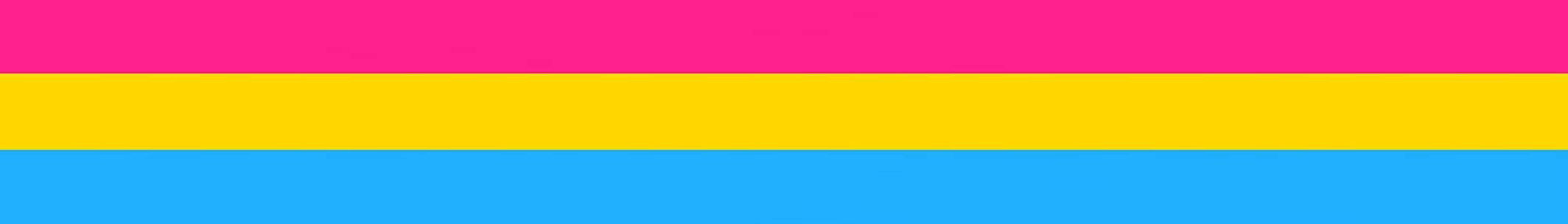 panseksueel vlag