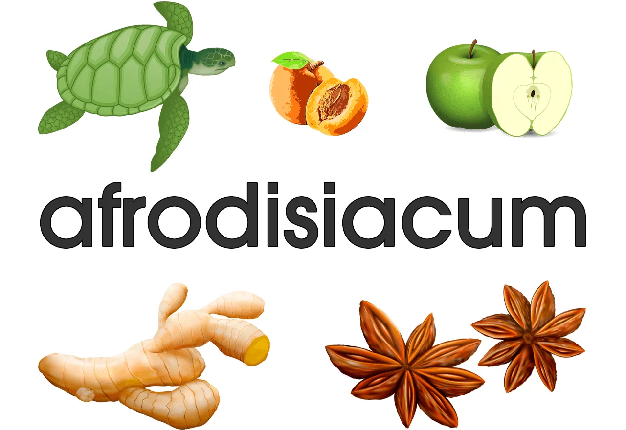 afrodisiacum