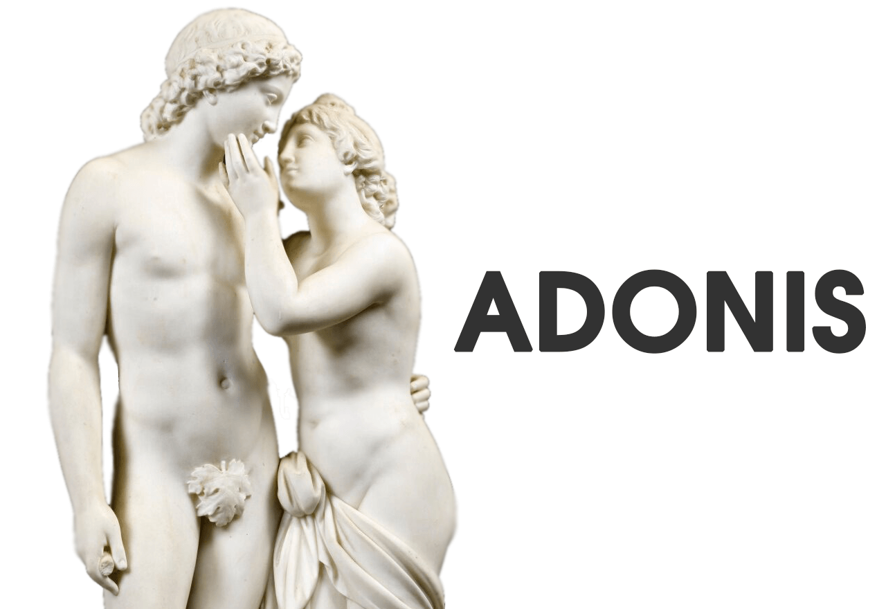 adonis