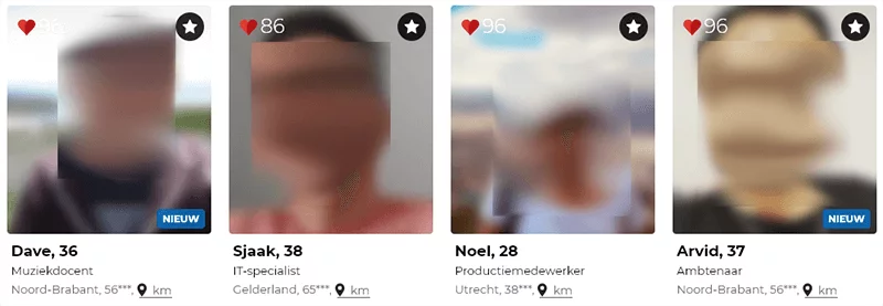 profielen gayparship