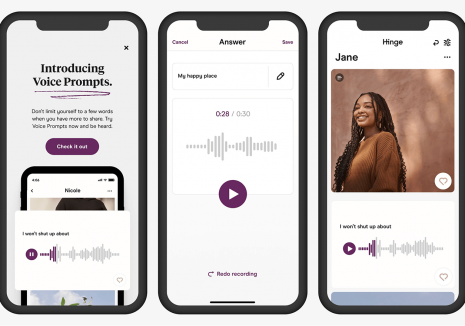 hinge voice prompts